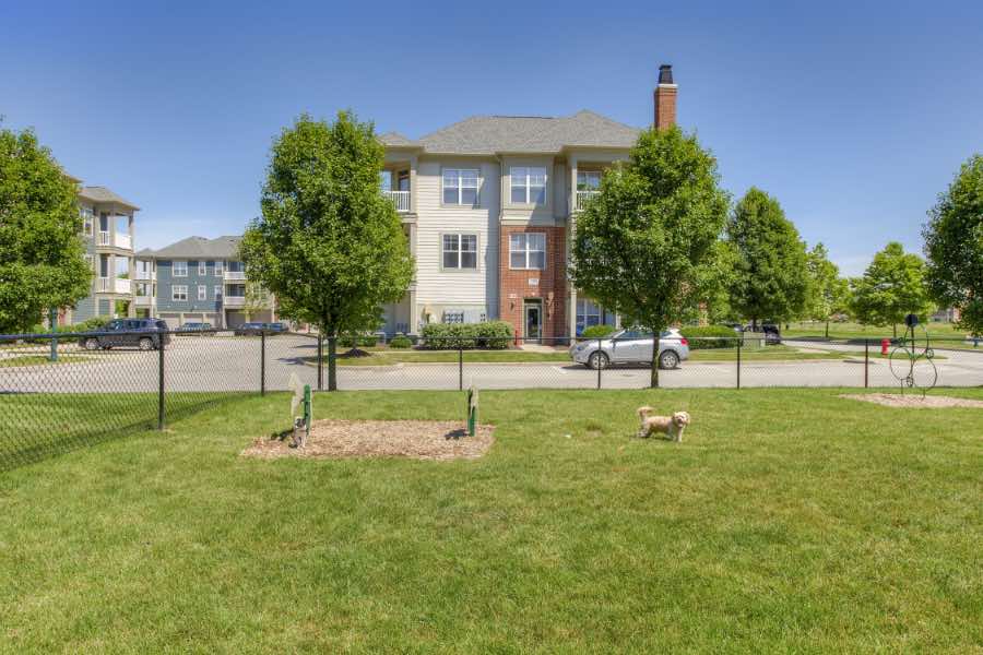 When moving to apartments with dog parks like this one at The District at Saxony in Fishers, check the lease agreement for applicable pet fees. Fenced dog park at The District at Saxony Apartment Homes