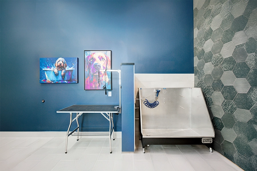 pet spa washing station room in white and blue along with a grooming table and bath stall designed for pets.